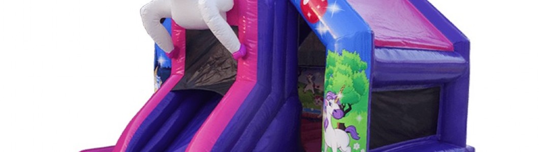 Evaluating the Value of Investing in a Bouncy Castle