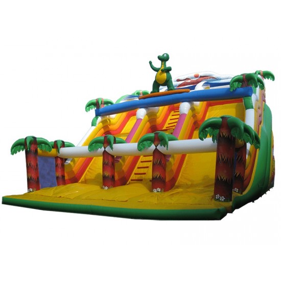 Surfing Dragon Inflatable Slide