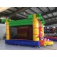 Lion Bouncy Castle Combo