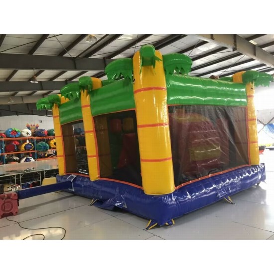 Lion Bouncy Castle Combo