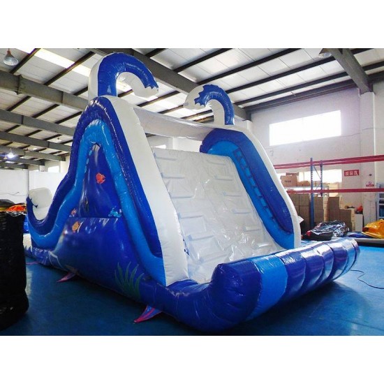 Giant Inflatable Water Slide