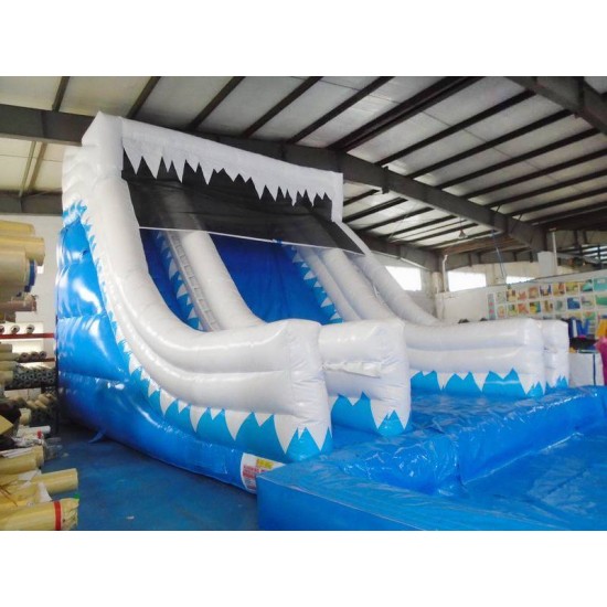 Kids Inflatable Water Slide